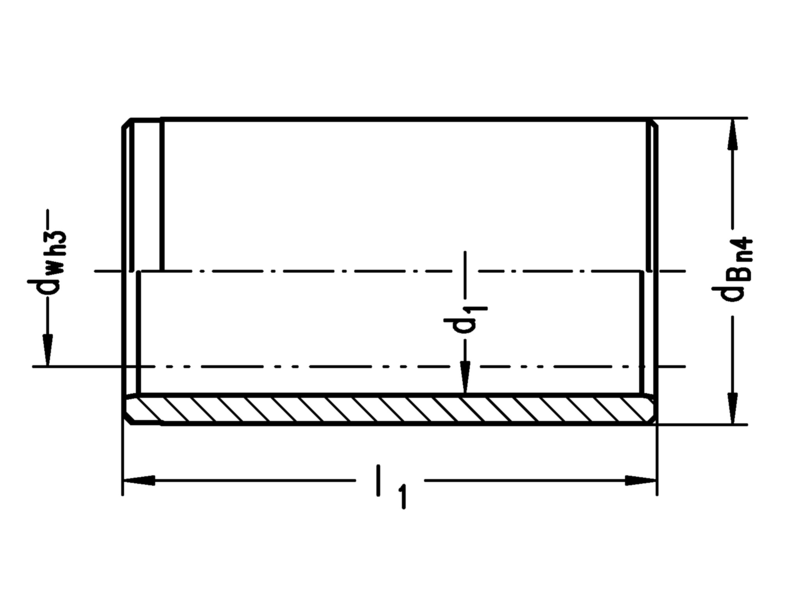 Führungsbuchse N550